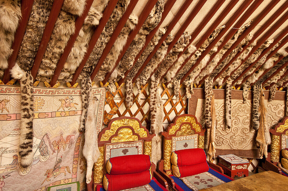 Snow Leopard (Uncia uncia) pelts hanging from restaurant rafters, approx 300 skins confiscated by customs, Ulan Baatar, Mongolia