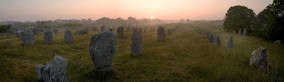 Standing stones at sunrise, Carnac, Brittany, France