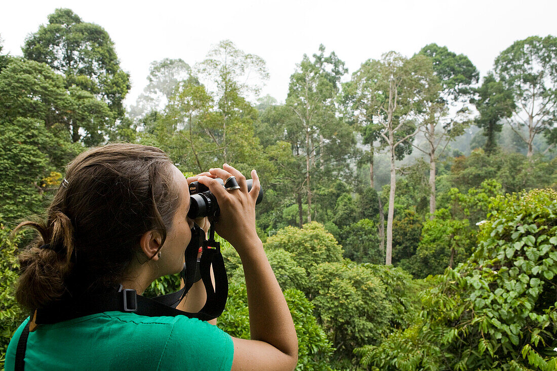 Birdwatcher on canopy walkway looking for canopy birds in upper story, Sepilok Forest Reserve, Sabah, Borneo, Malaysia