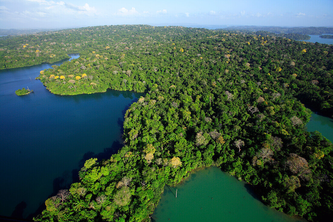 Aerial view of the Canal Zone, Barro Colorado Island, Research Station of the Smithsonian Tropical Research Institute, view of the 50 hectar permanent observation plotserumoc, Panama