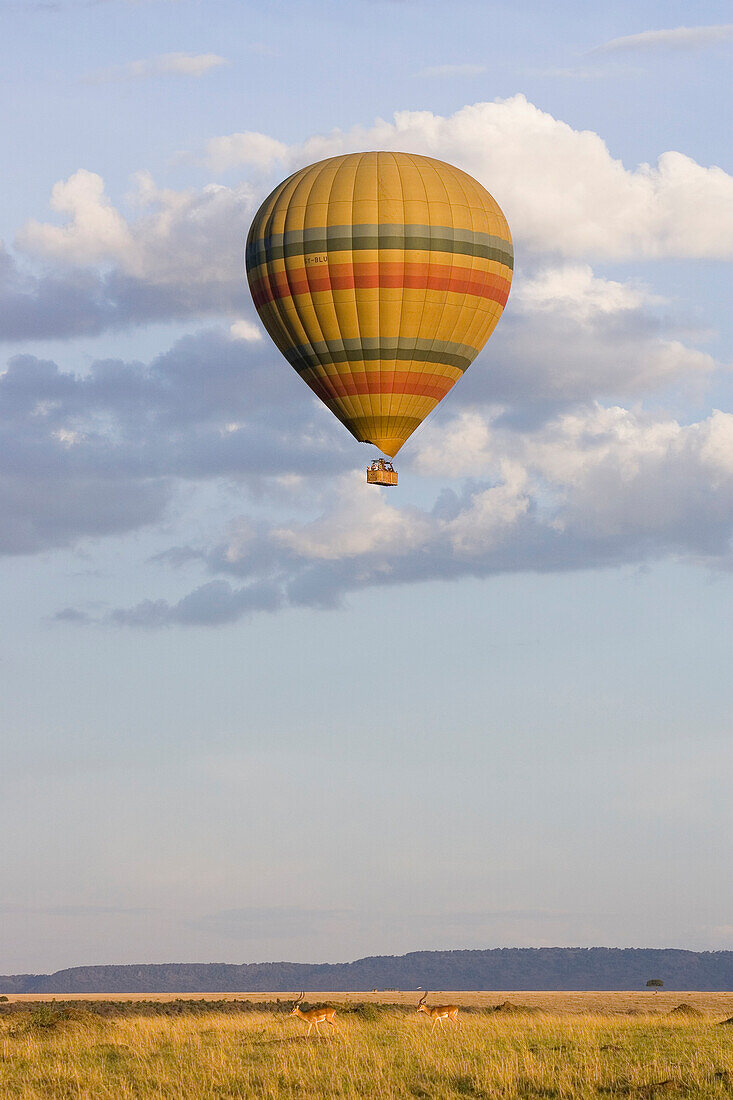 Hot air balloon flying over savanna, Masai Mara Triangle, Kenya
