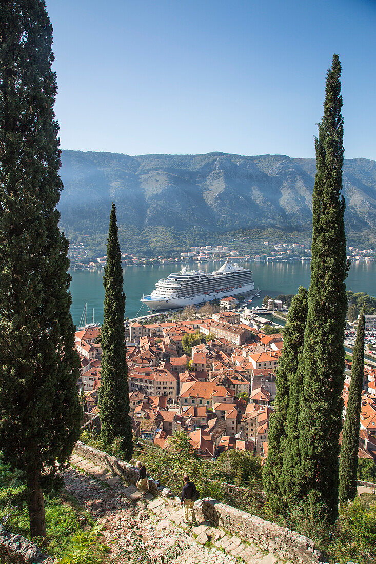 Steile Treppenstufen zur Alten Festung mit Blick über Altstadt und Kreuzfahrtschiff Riviera, Oceania Cruises, an der Pier am Kotor Fjord, Kotor, Montenegro, Europa