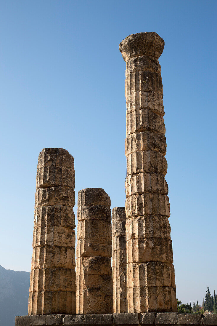 Säulen des Tempel Apollon an den Ruinen von Delphi, Delphi, Peloponnes, Griechenland, Europa