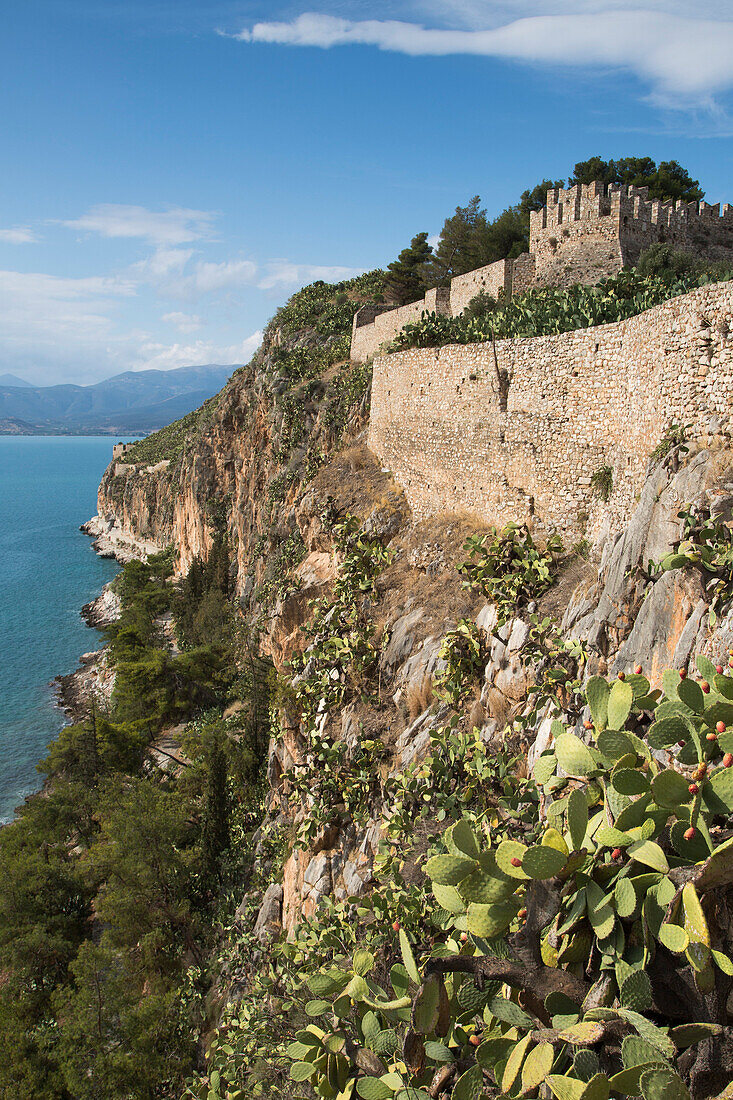 Kakteen, Opuntien, an Hügel von Acronauplia mit Küstenlandschaft, Nafplio, Nauplia, Peloponnes, Griechenland