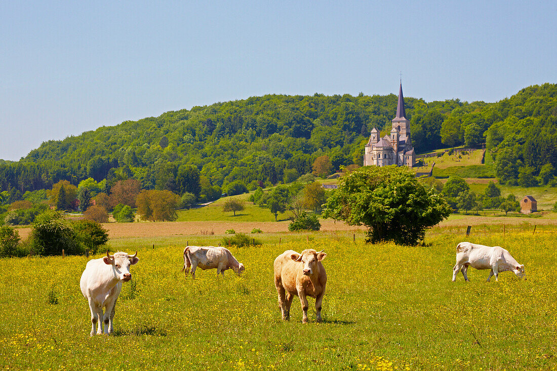 Landscape near Mont-devant-Sassey with church Notre Dame, XI th century, Vallée de Meuse, Dept. Meuse, Region Lothringen, France, Europe
