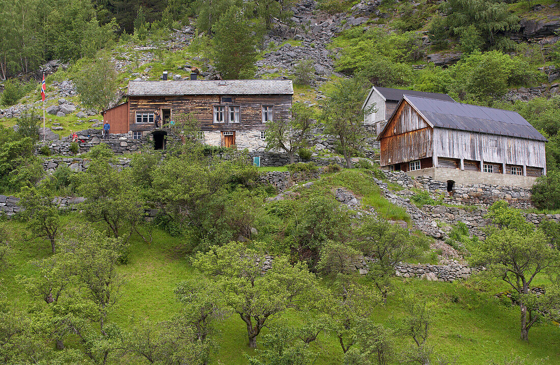 Matvik, Letzte verlassene Farm im Fjord, Geiranger fjorden, Provinz Möre og Romsdal, Vestlandet, Norwegen, Europa