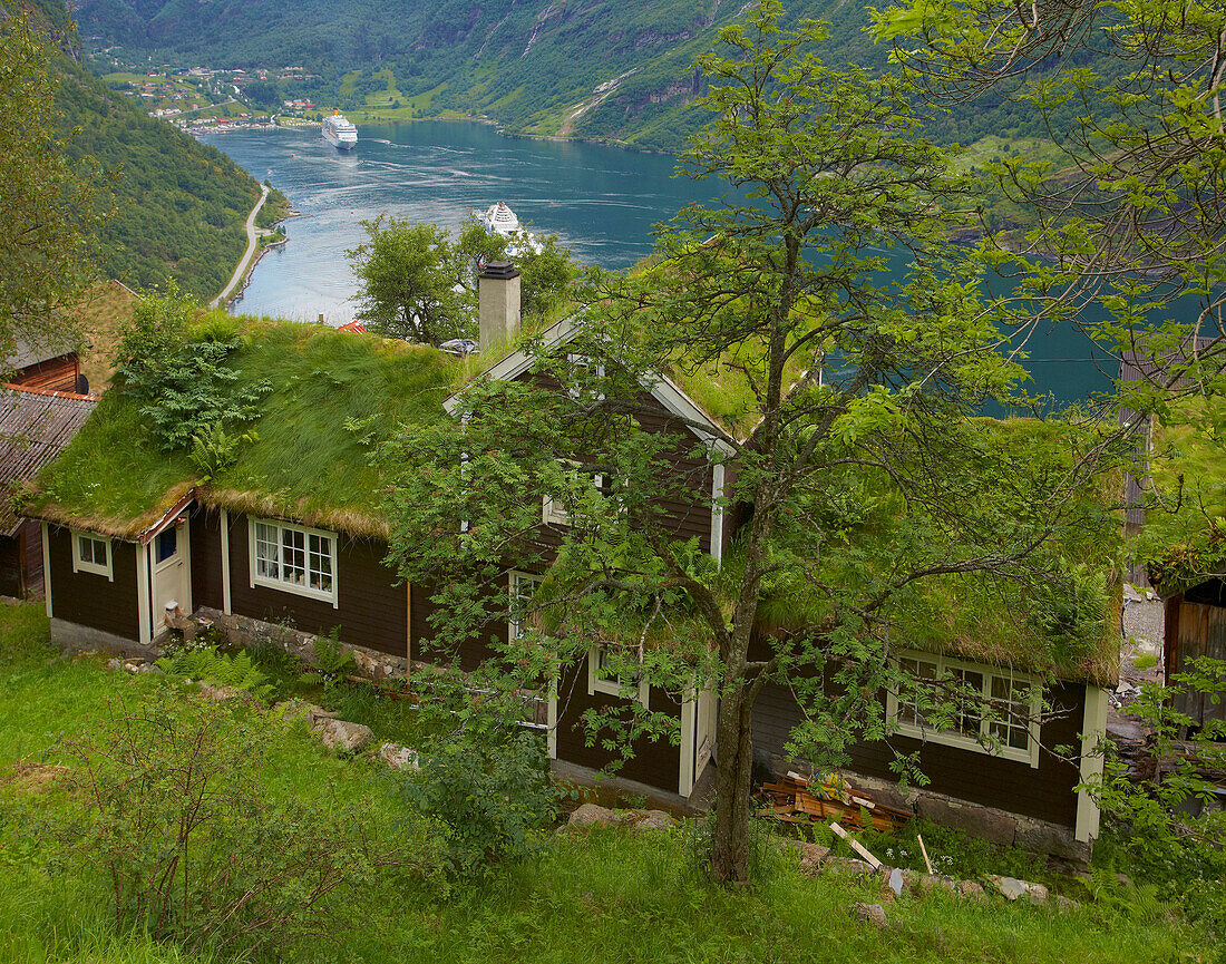 Blick über Gehöft von der, Adlerstraße, Örneveien, in den Geirangerfjord, Geiranger, Provinz Möre og Romsdal, Vestlandet, Norwegen, Europa