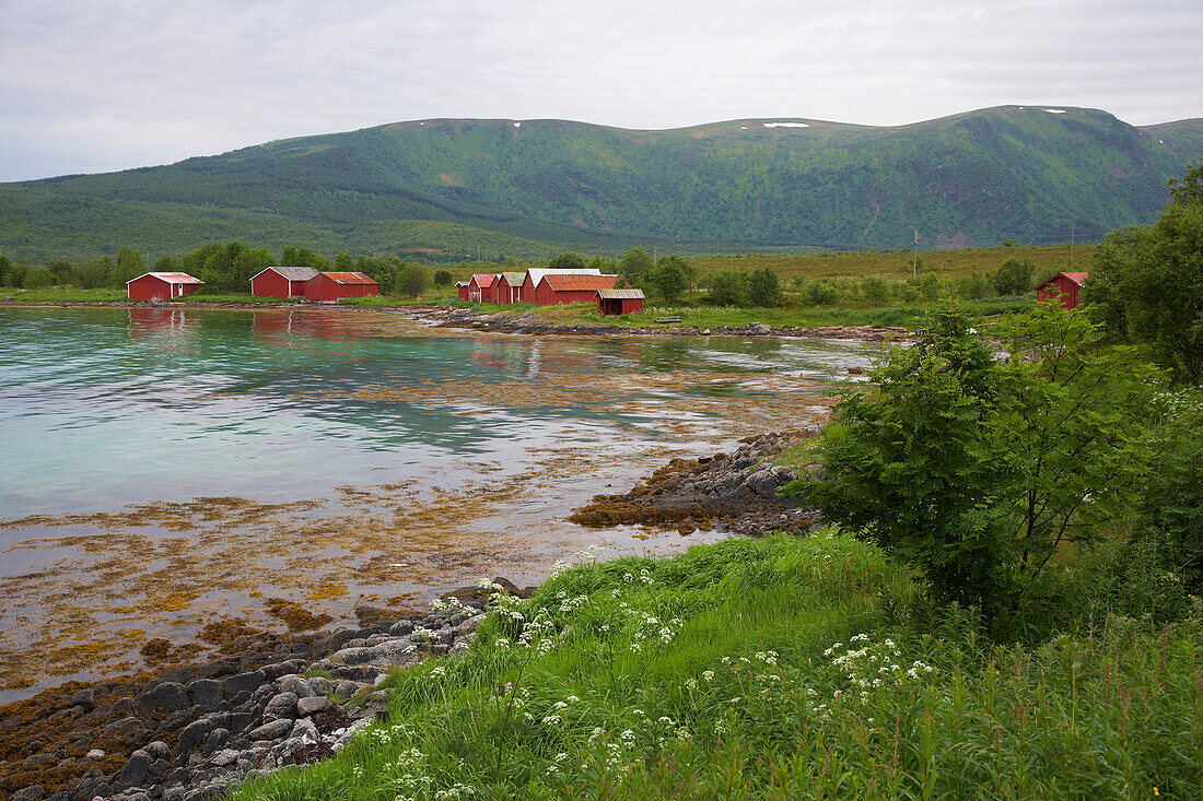 East coast of the isle of Hadseloy, Vesteralen, Province of Nordland, Nordland, Norway, Europe