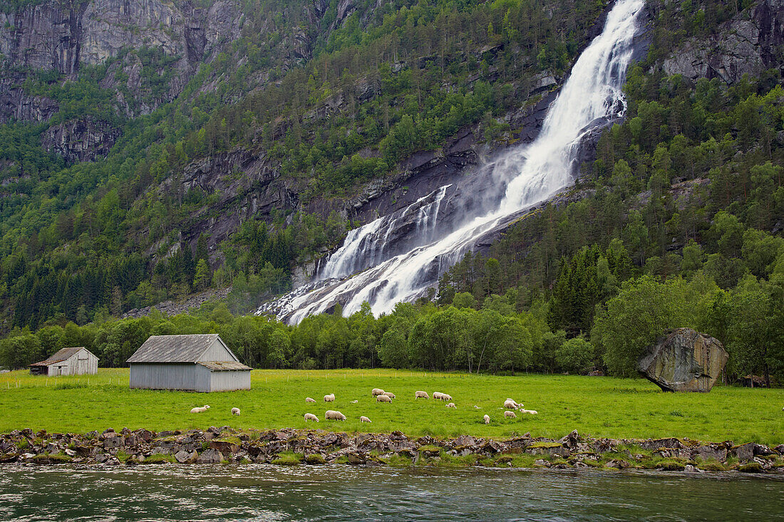 Wasserfall, Vidfossen, bei Odda, RV 13, Provinz Hordaland, Vestlandet, Norwegen, Europa