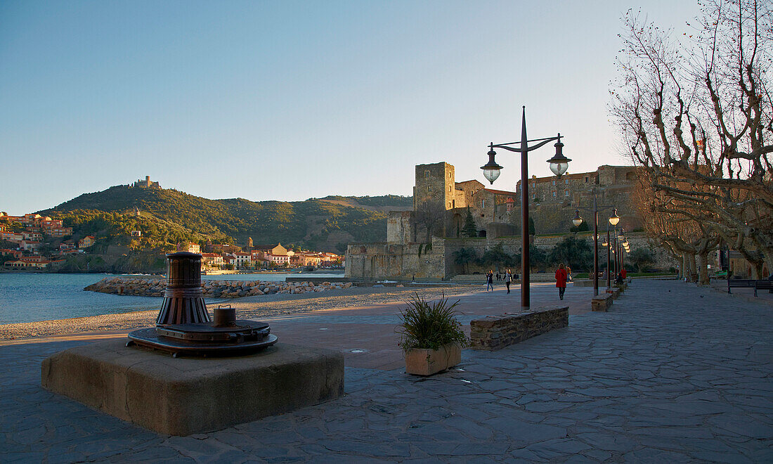 Collioure, Harbour and Château Royal des Templiers, Côte Vermeille, Mediterranean, Dept. Pyrénées-Orientales, Roussillon, France, Europe