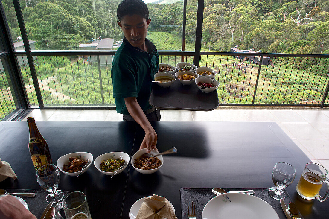 Kellner serviert Curry im Sinharaja Forest Reserve Hotel, Restaurant mit Aussicht auf den Urwald, in den Sinharaja Bergen im Süden von Sri Lanka