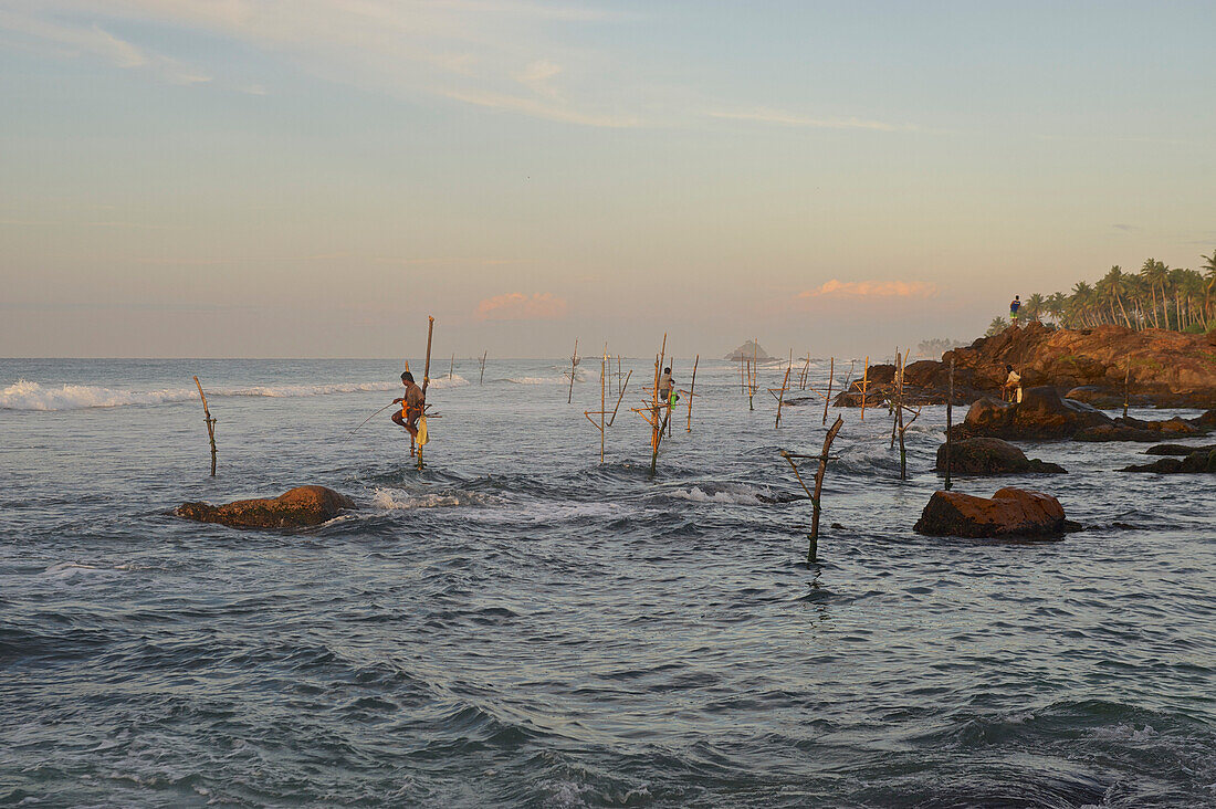 Stelzenfischer am fürhen Morgen an felsiger Küste bei Weligama, im Süden von Sri Lanka