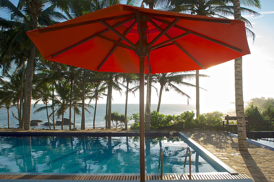 Parasol and pool under palm trees with sea view, Turtle Bay Hotel, Tangalle, South Sri Lanka