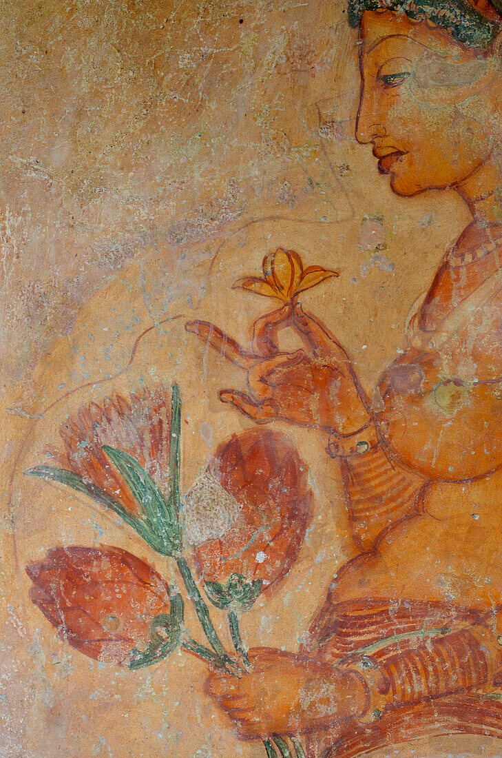 Female spirit of the clouds and waters, Apsara, frescos from the 5th century at lion rocks, Simha Gira, Sigiriya, Matale Distict, Kulturdreieck, Sri Lanka