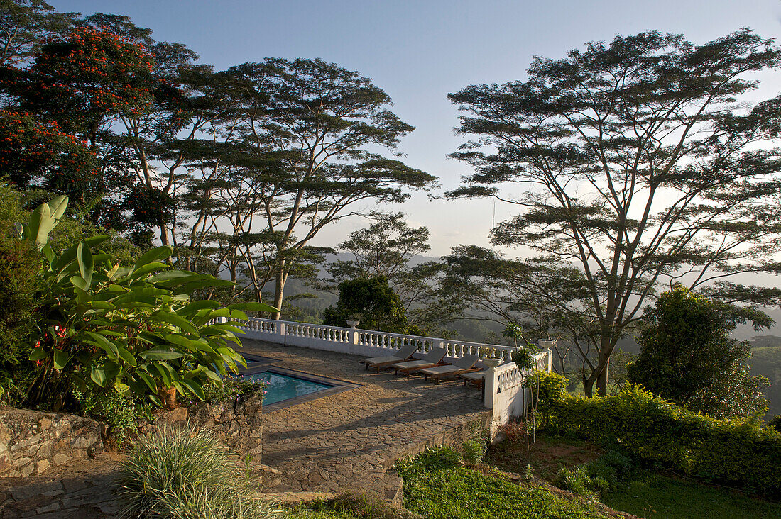 Pool with huge trees at the Ashburnham Estate, hotel in a former administrators house, Elkaduwa, Knuckles Range near Kandy, Hochland, Sri Lanka