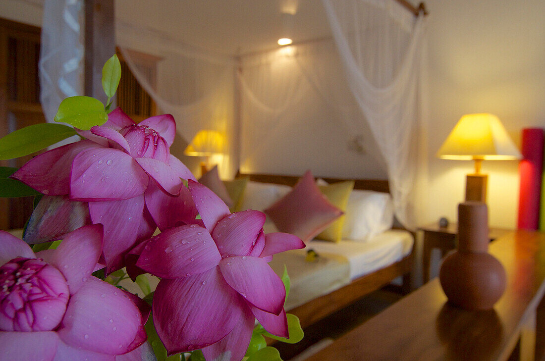 Tropische Blüten mit Wassertropfen in einem Deluxe-Zimmer im Berberyn Ayurveda Beach Resort, Weligama, Mirissa, im Süden von Sri Lanka