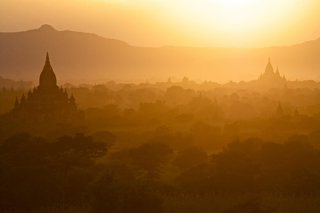 Abendlicher Blick bei Sonnenuntergang über das Pagodenfeld in Bagan, Pagan, Myanmar, Burma