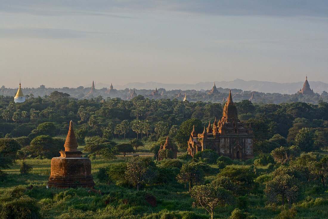 Morgendlicher Blick bei Sonnenaufgang über das Pagodenfeld in Bagan, Pagan, Myanmar, Burma