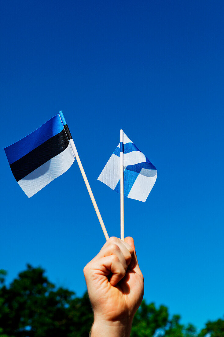 Junge hält die finnische und estische Flagge in der Hand, Tallinn, Estland, Baltikum
