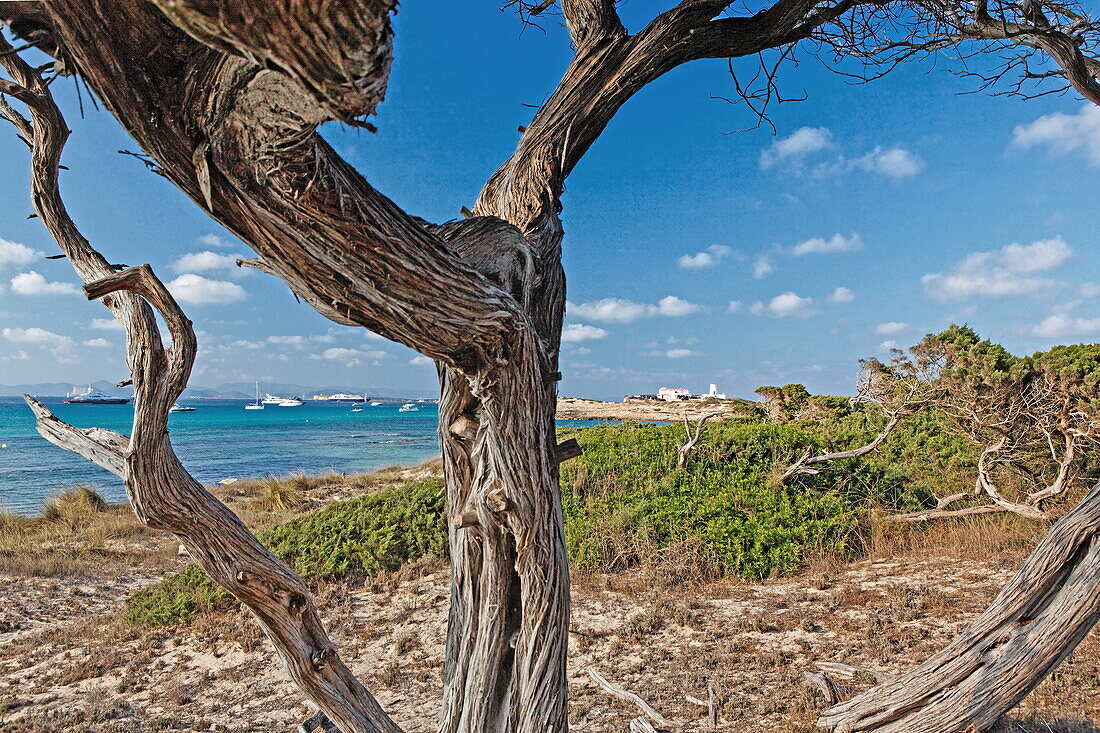 Playa de Illetas, Formentera, Balearen, Spanien