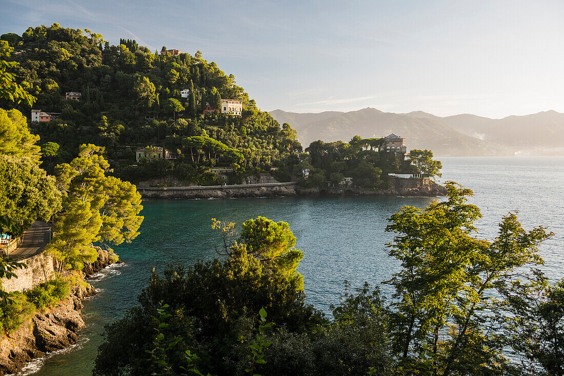 Küste bei Portofino, Provinz Genua, Riviera di Levante, Ligurien, Italien