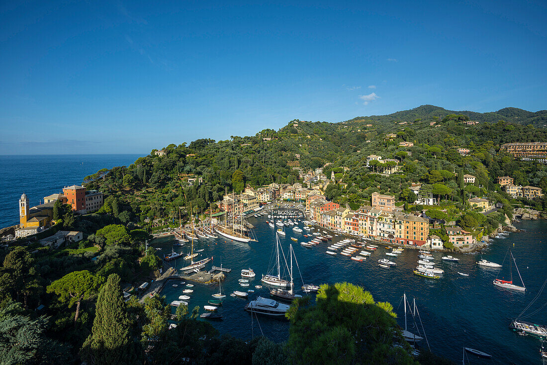 Portofino mit Blick auf den Hafen, Provinz Genua, Riviera di Levante, Ligurien, Italien