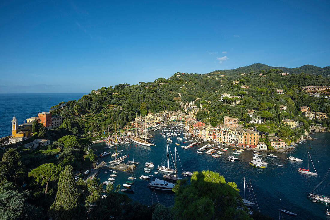 Portofino with view of the harbour, province of Genua, Italian Riviera, Liguria, Italy