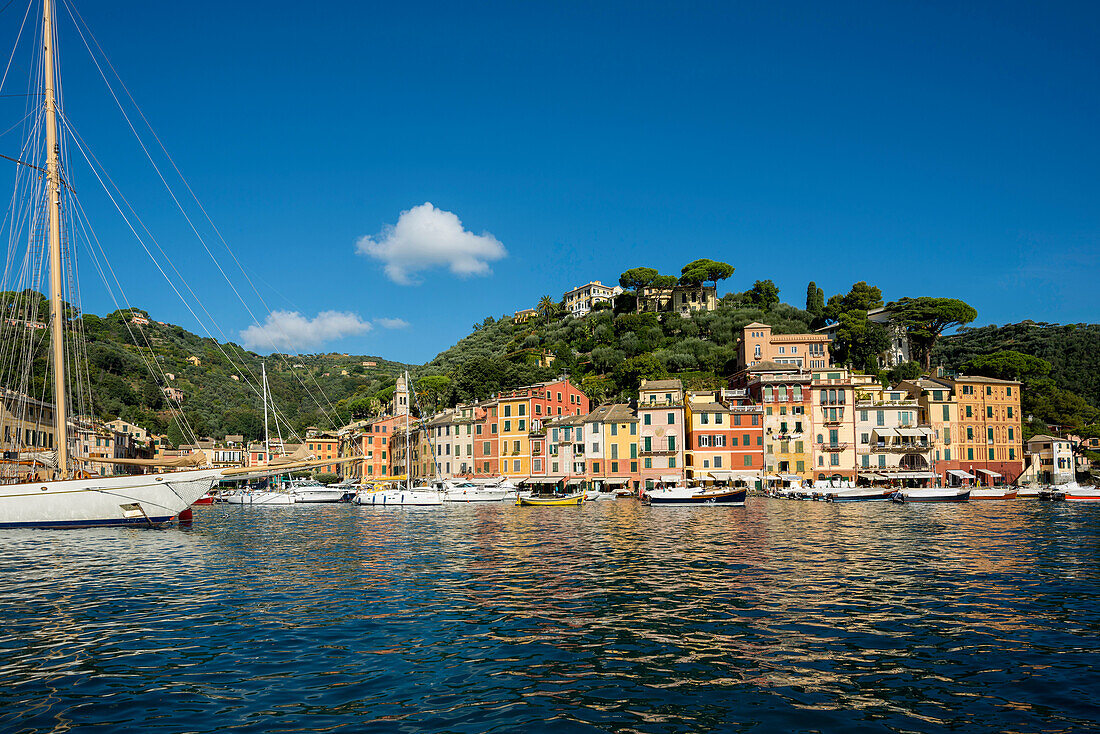 Portofino, province of Genua, Italian Riviera, Liguria, Italy