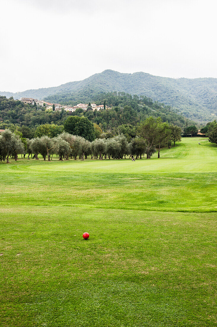 Golf ball on a golf course, Garlenda, province of Savona, Italian Riviera, Liguria, Italy
