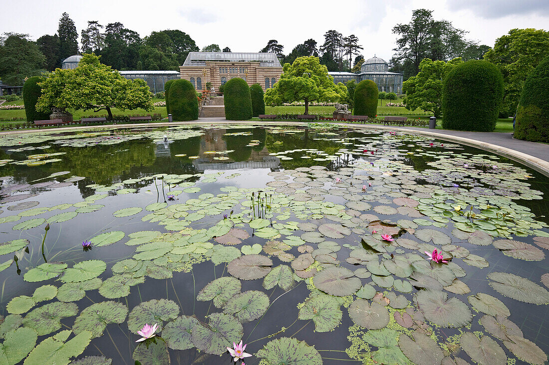 Wilhelma, Botanischer Garten, Stuttgart, Baden-Württemberg, Deutschland