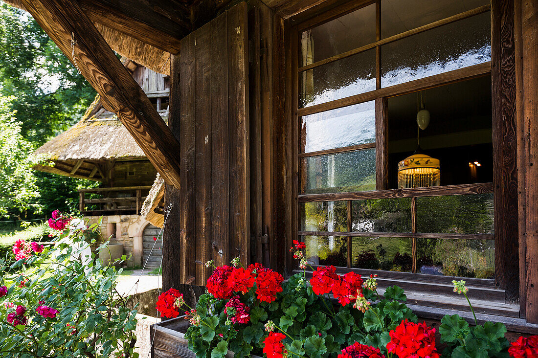 alte Bauernhäuser, Freilichtmuseum Vogtsbauernhöfe, Gutach, Schwarzwald, Baden-Württemberg, Deutschland