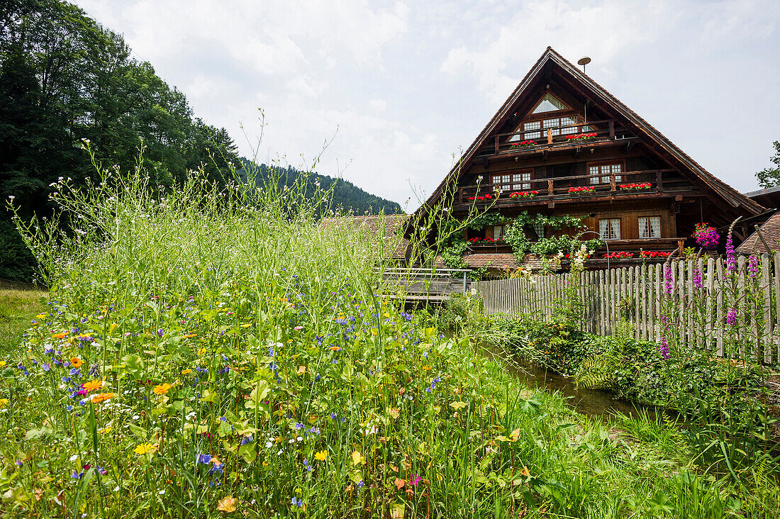 Historic oil mill, Simonswald near Freiburg im Breisgau, Black Forest, Baden-Wuerttemberg, Germany