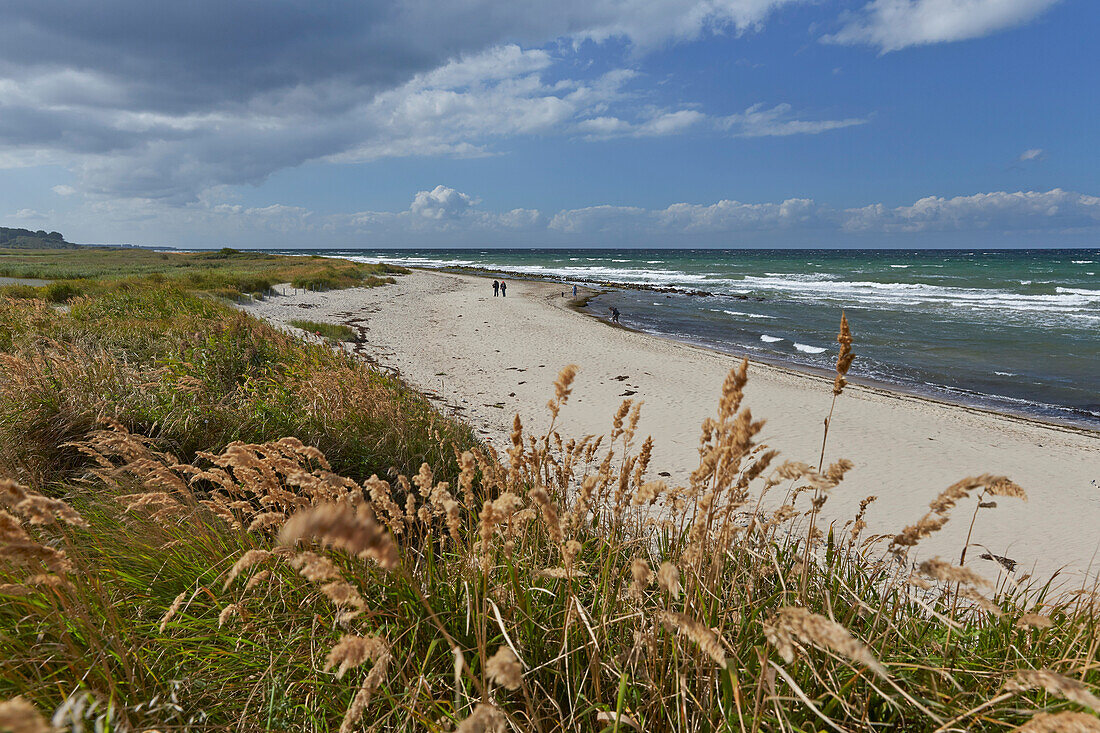 Beach near Kuehlungsborn, Baltic sea coast, Mecklenburg-Vorpomerania, Germany