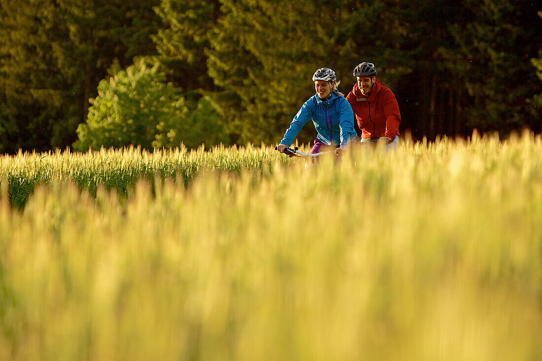 Two cyclists riding electric bicycles between fields, Tanna, Thuringia, Germany