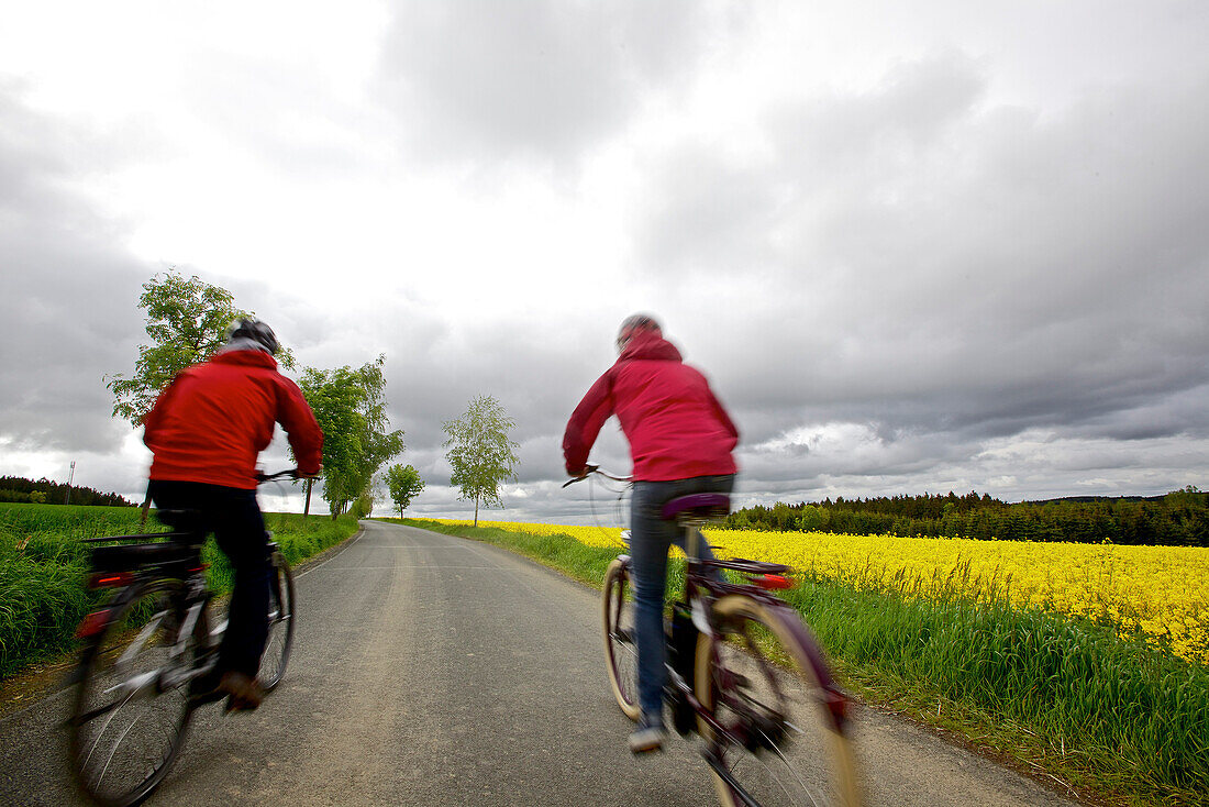 Zwei Fahrradfahrer mit Elektrofahrrädern fahren an einem blühendem Rapsfeld vorbei, Tanna, Thüringen, Deutschland