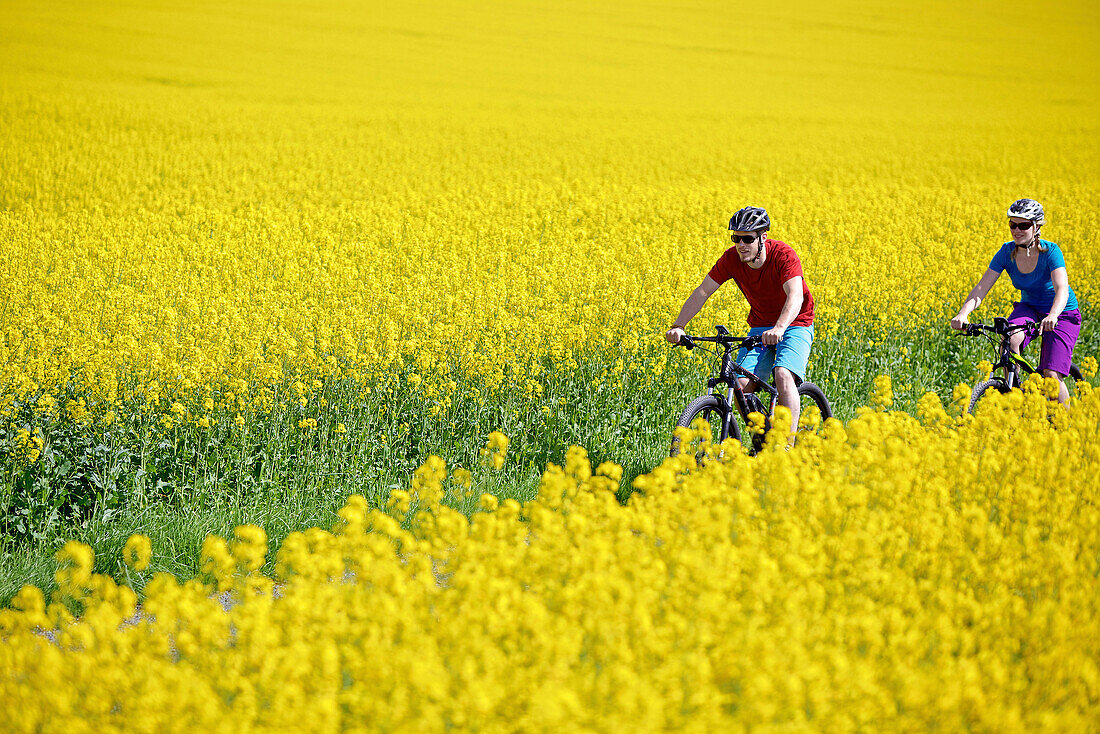 Two cyclists with electric bicycles between blooming canola fields, Tanna, Thuringia, Germany