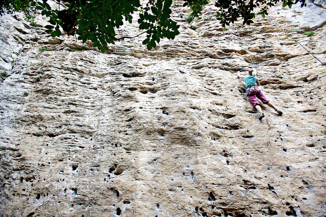 Woman rock climbing, Finale Ligure, Province of Savona, Liguria, Italy