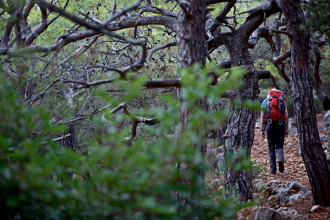 Woman hiking along long-distance footpath Lycian Way, Antalya, Turkey
