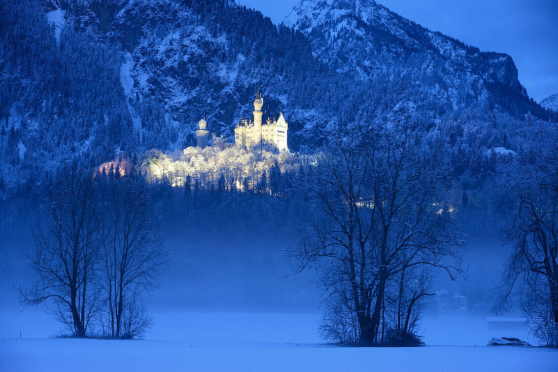 Neuschwanstein castle in winter, Allgaeu, Swabia, Bavaria, Germany