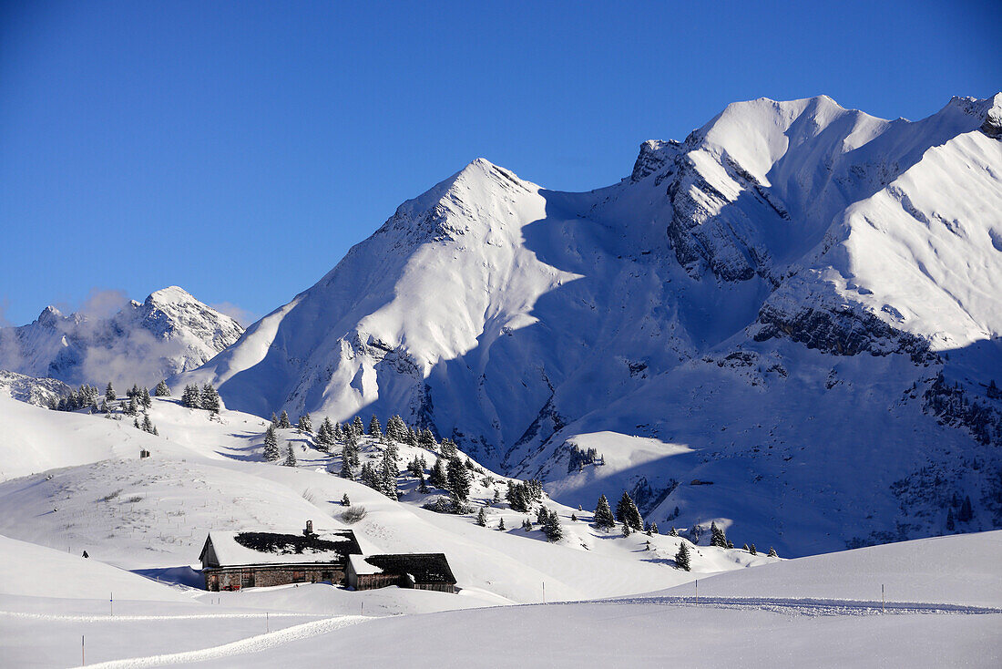 im Skigebiet von Lech am Arlberg, Winter in Vorarlberg, Österreich