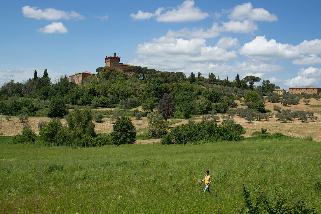 Woman nordic walking through a field at the foot of the Vinery Palazzo Massani, near San Quirico d'Orcia, Toskana, Italy, Europe
