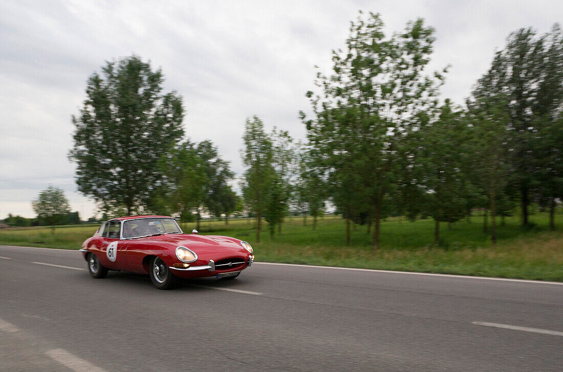 Jaguar, E Type, Mille Miglia, 1000 Miglia, Mirandola, Modena, Italien, Europa