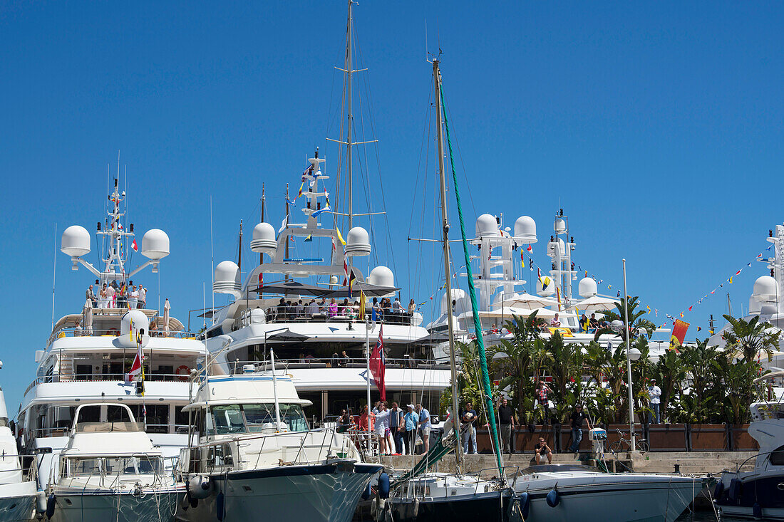 Yachten im Hafen, Port Hercule, Monaco, Monte Carlo, Côte d´Azur, Frankreich, Europa