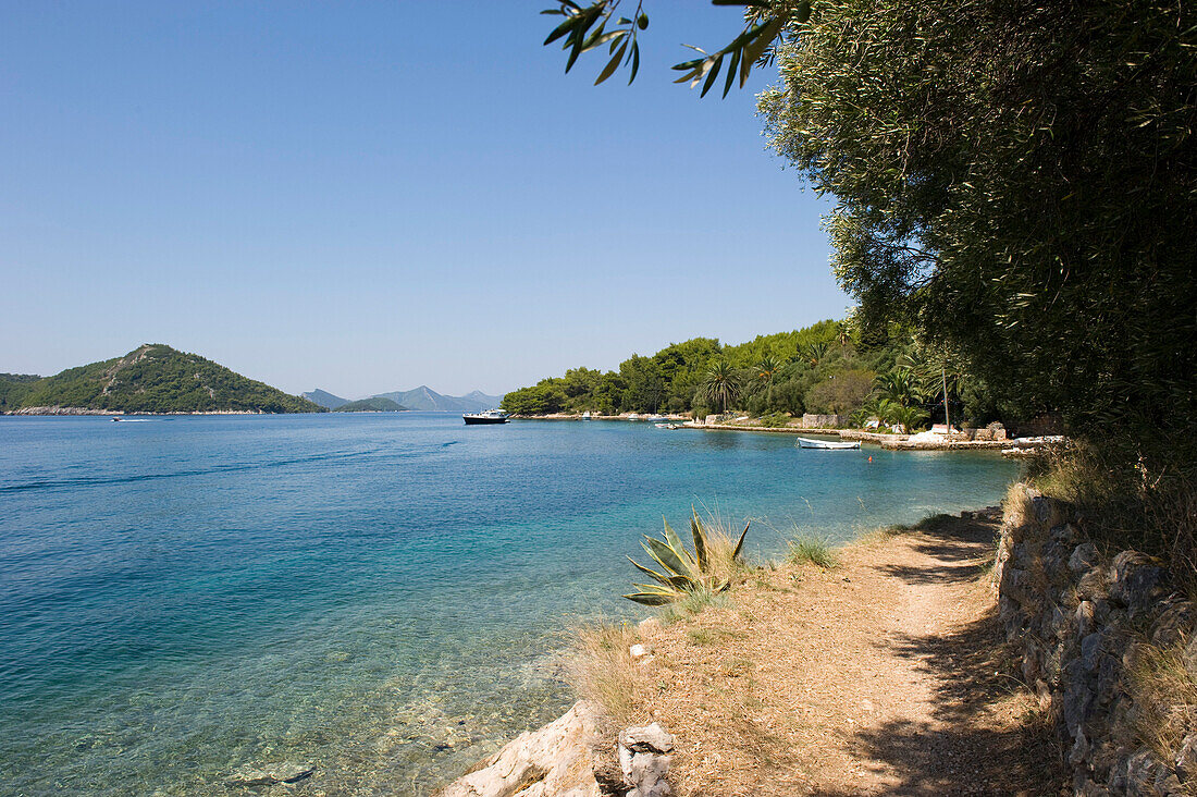 Coast scenery, Sipan, Elaphites, Croatia