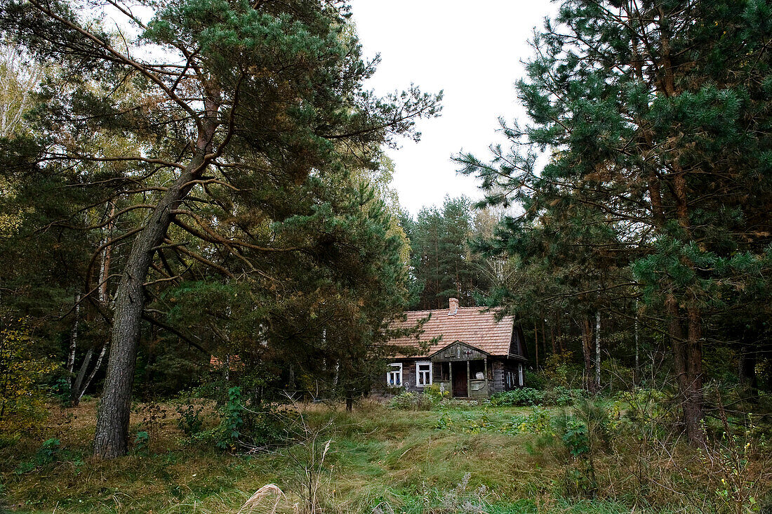 House in the woods, Biebrza National Park, Podlaskie Voivodeship, Poland