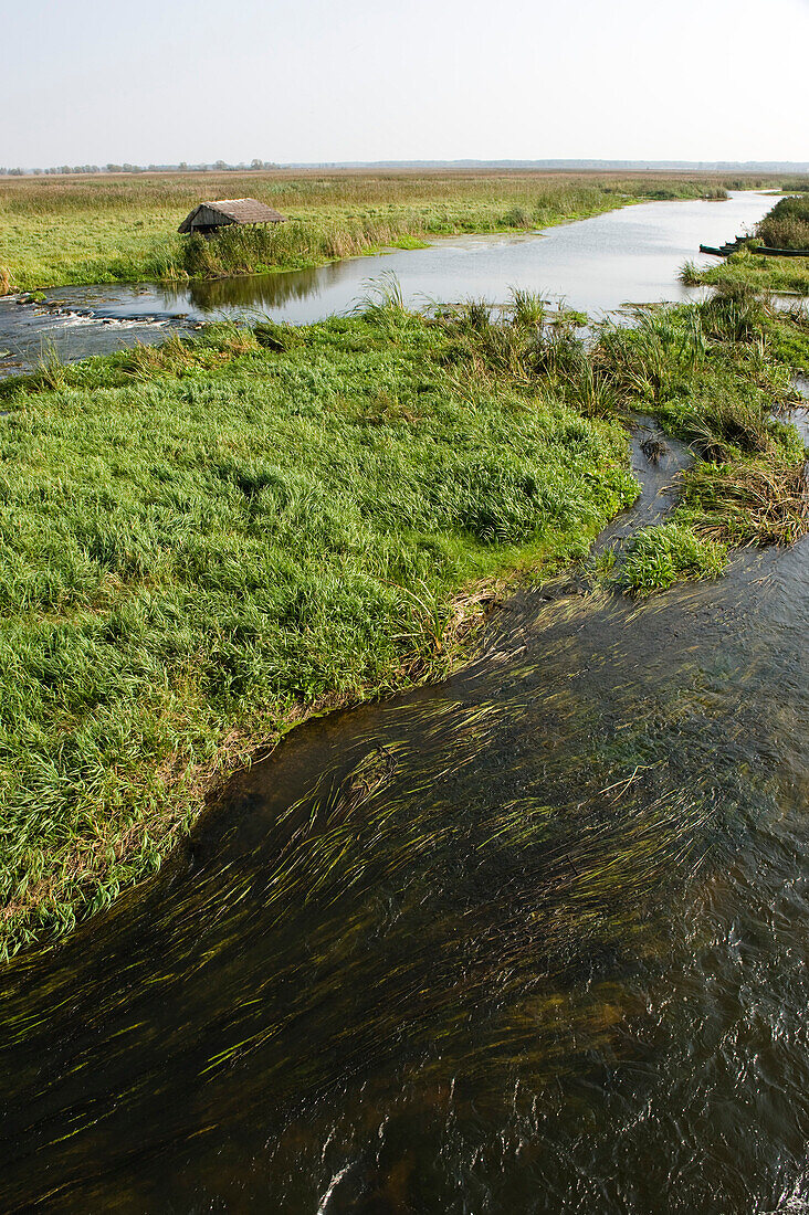 Flussniederung, Nationalpark Narew, Woiwodschaft Podlachien, Polen