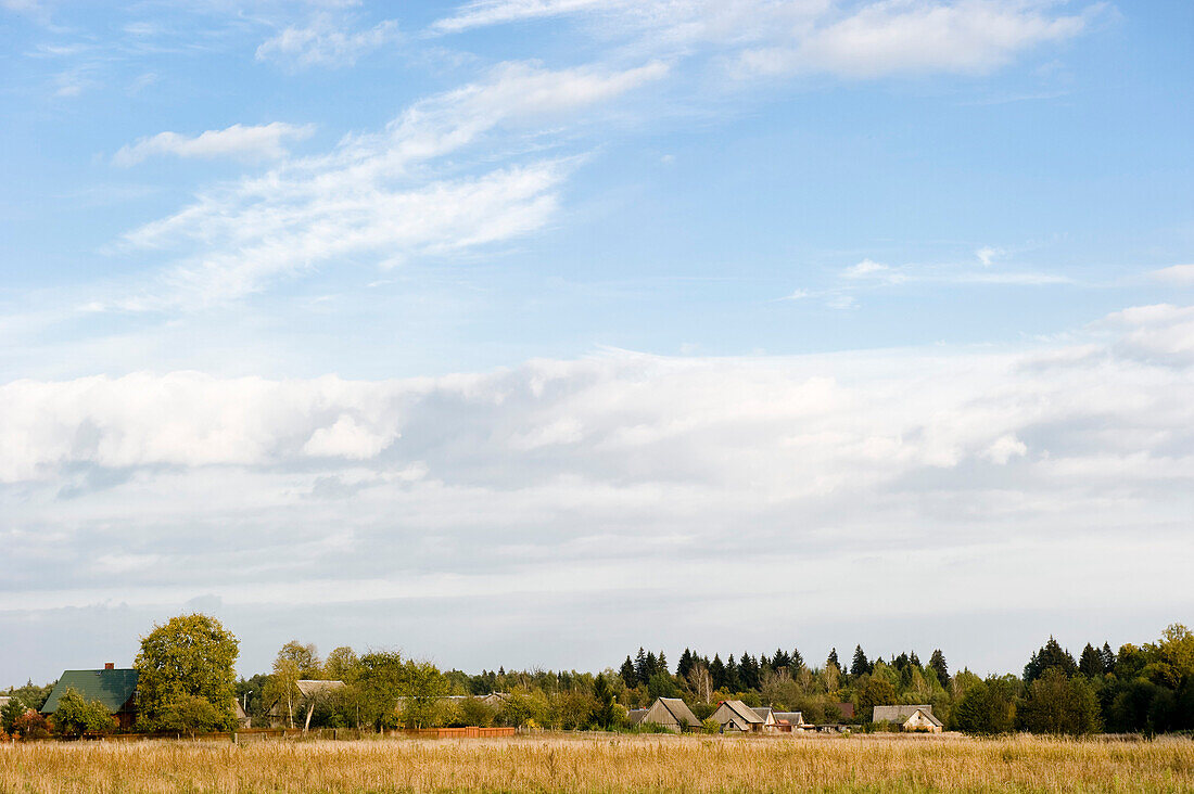 Siolo Budy, Bialowieza National Park, Podlaskie Voivodeship, Poland