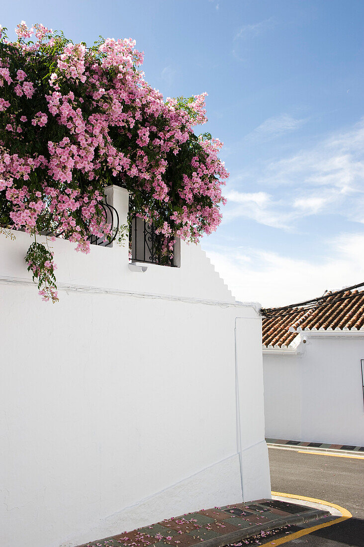 White village, Frigiliana, province of Malaga, Andalusia, Spain