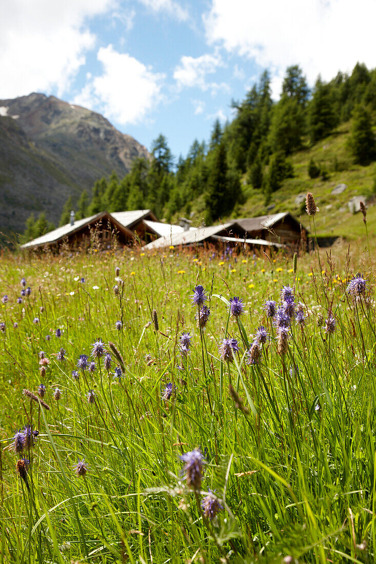 Almwiese und Hütte bei Sölden, Tirol, Österreich