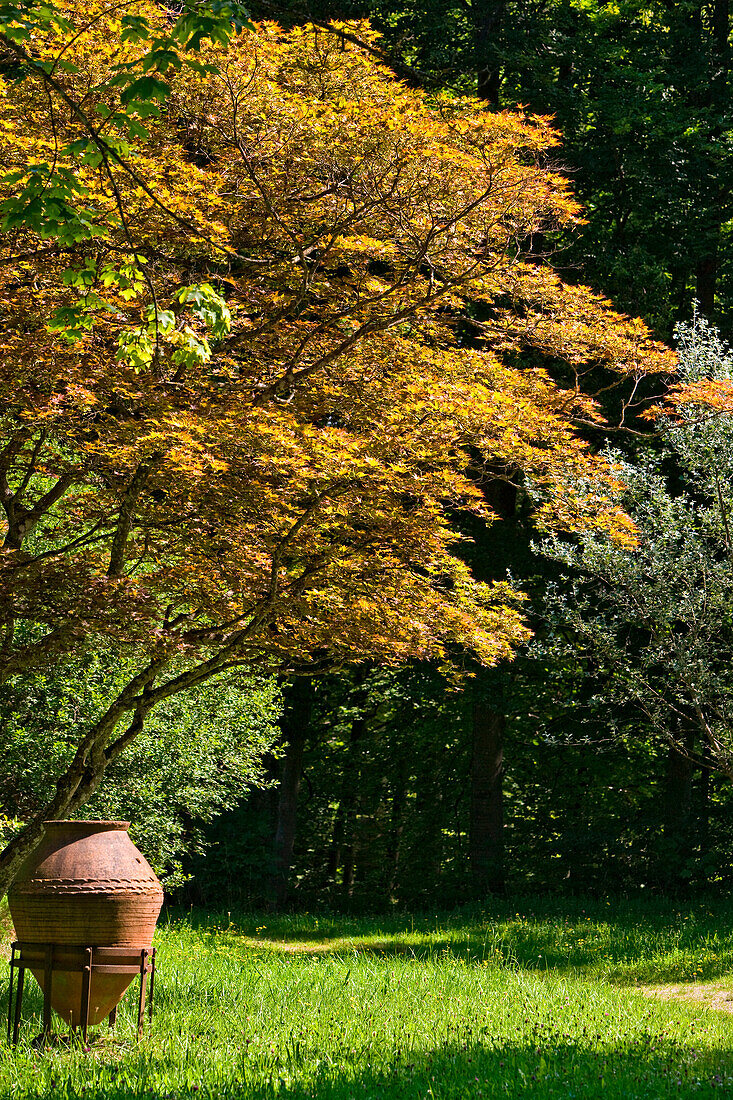 Amphore und Baum in Herbstfarben im Park des Buchheim Museum der Phantasie, Bernried, Oberbayern, Bayern, Deutschland